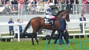 Irish Derby ‘most obvious objective’ for Piz Badile
