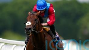 Bay Bridge headlines Prince of Wales’s Stakes with international flavour