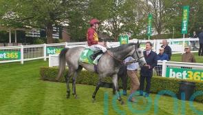 Cash team taking patient approach with QEII a possible goal