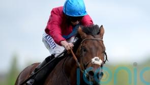 Bay Bridge declared for five-star Prince of Wales’s Stakes