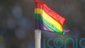 ‘Not acceptable’ for Qatar officials to confiscate rainbow flags at World Cup