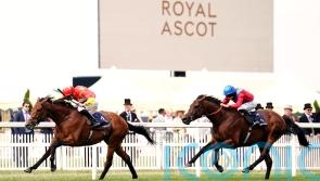 State Of Rest is Wales’s wonder for O’Brien and Crosse