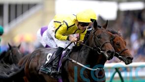 Commonwealth Cup ‘ideal race’ for Perfect Power