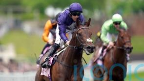 July Cup ‘something to discuss’ for connections of Flaming Rib