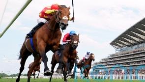 State Of Rest could clash with Baaeed, as O’Brien suggests plans to come back to a mile
