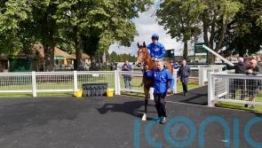 Shining Blue stays unbeaten with Newcastle victory