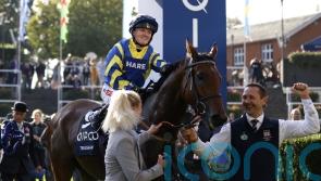 Trueshan ‘ready for a race’ ahead of Northumberland Plate date