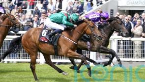 Shartash strikes Railway Stakes gold for Murtagh