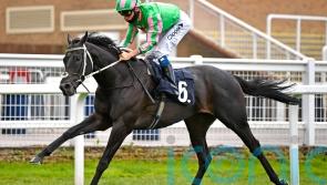 Goodwood on Pogo’s agenda after Criterion success