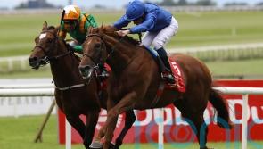 Hurricane Lane promises to be ‘sharper model’ in Grand Prix de Saint-Cloud