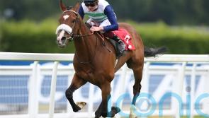 Melbourne Cup could be calling for Coltrane