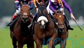 ‘Rapid’ Raasel all set for Sandown Charge
