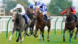 Prescott thrilled with Alpinista as Arc bid now looms large