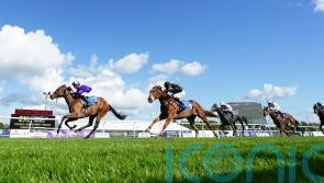 Tagline set for Lezoo rematch at Newmarket on Friday