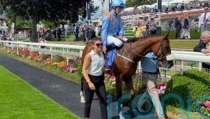 Molecomb mission for York scorer The Platinum Queen