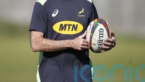 Jacques Nienaber recalls eight of South Africa’s World Cup winners to face Wales
