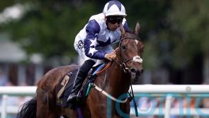 Mohammed sights set on Sweet Solera spin for Alseyoob