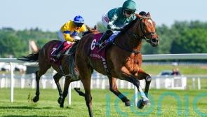 Nashwa thriving ahead of Nassau challenge