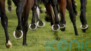 National Horseracing College sustains ‘significant’ damage after fire
