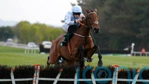 Hatton’s Grace again on the agenda for Honeysuckle