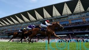 O’Brien preparing healthy Goodwood squad