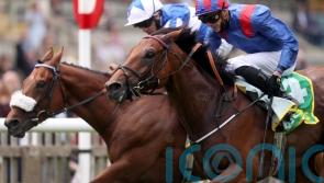 Classy Dubai Honour back in domestic action at York