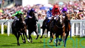 Loughnane confident Walbank can make Molecomb mark