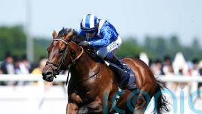 Baaeed all set for Sussex Stakes in what could be miling farewell