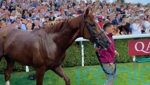 We’re not going to say goodbye after that – Nielsen on Stradivarius