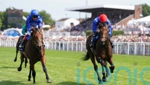 Warren Point adds further depth to Appleby’s middle-distance hand