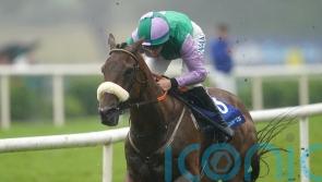 Another Shark attack at Galway as Hallowed Star strolls home for Hanlon