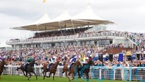 Commanche Falls claims historic Stewards’ Cup repeat