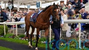 Deauville next for El Bodegon – and Leger also on the radar