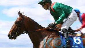 Champion Stakes contenders on track for pre-Ascot assignments