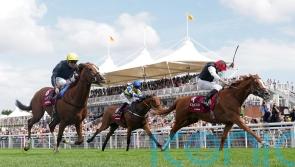 Kyprios on course to cement his credentials in Irish St Leger