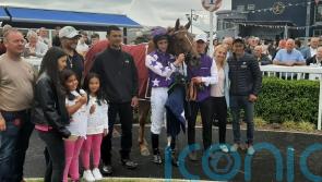 Haynes sets out Breeders’ Cup ambition for Lady Hollywood