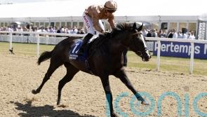 Big-race plans on hold for Haggas stars pending rain