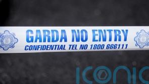 Garda appeal for information amid Dublin murder probe