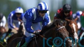Minzaal to shoot for Group One glory in Sprint Cup