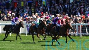 Bradsell sidelined until next year after Phoenix injury