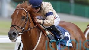 Hollie Doyle hails ‘star’ Glen Shiel as Group One winner is retired