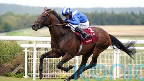 ‘Everything on schedule’ with Baaeed, as International challenge looms