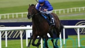Native Trail ‘thriving’ on home workload in readiness for York