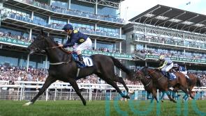 Royal Aclaim leads 15 shooting for Nunthorpe glory