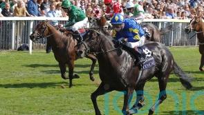 Jimmy Quinn rates The Platinum Queen’s chance of Nunthorpe gold