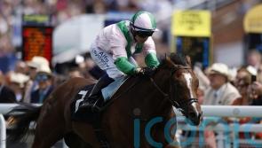 Royal Scotsman ready to play his part in high-class Gimcrack