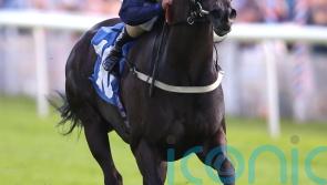 James Tate and Royal Aclaim bidding for Nunthorpe ‘home’ win