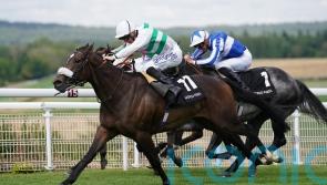 Balding anticipating York battle for Lennox victor Sandrine
