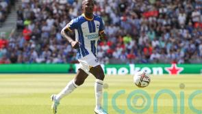 We love him – Brighton boss Graham Potter excited by Moises Caicedo potential