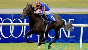 Meditate remains unbeaten in Debutante
